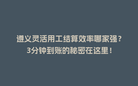 遵义灵活用工结算效率哪家强？3分钟到账的秘密在这里！