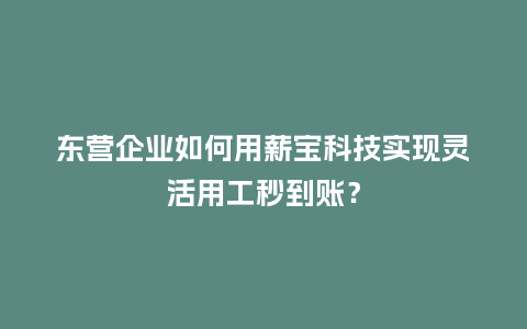 东营企业如何用薪宝科技实现灵活用工秒到账？