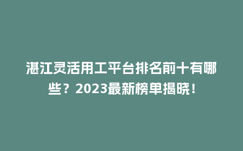湛江灵活用工平台排名前十有哪些？2023最新榜单揭晓！