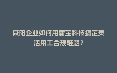 咸阳企业如何用薪宝科技搞定灵活用工合规难题？