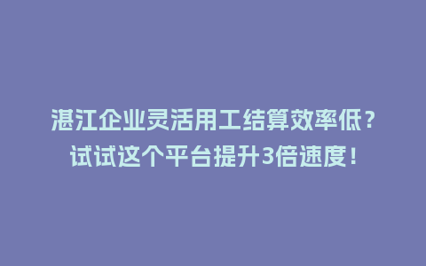 湛江企业灵活用工结算效率低？试试这个平台提升3倍速度！