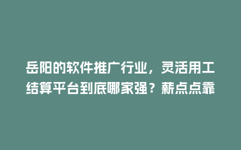 岳阳的软件推广行业，灵活用工结算平台到底哪家强？薪点点靠谱吗？
